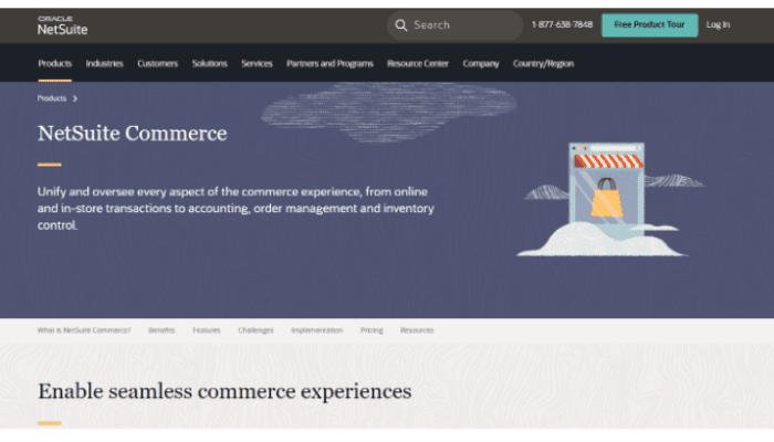 B2b e-commerce wholesale